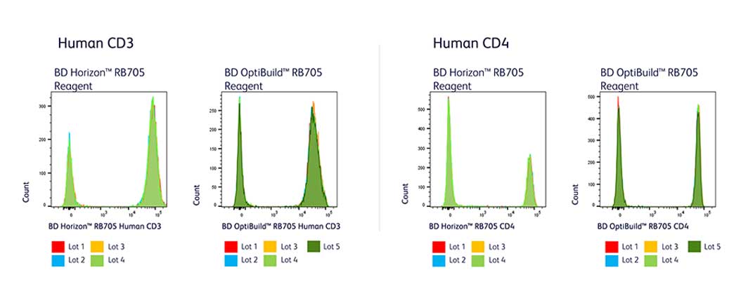 RB705 lot-to-lot consistency across made-to-stock and BD OptiBuild On-Demand Reagents